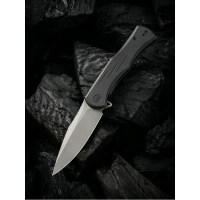 Складной нож WE Knife Primoris, CPM 20CV купить в Нижневартовске